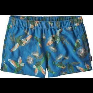 Patagonia baggies with hummingbird pattern